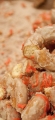 aita-fednuts-11