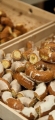 aita-fednuts-13